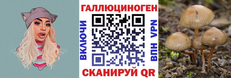 Галлюциногенные грибы мицелий  Удомля 