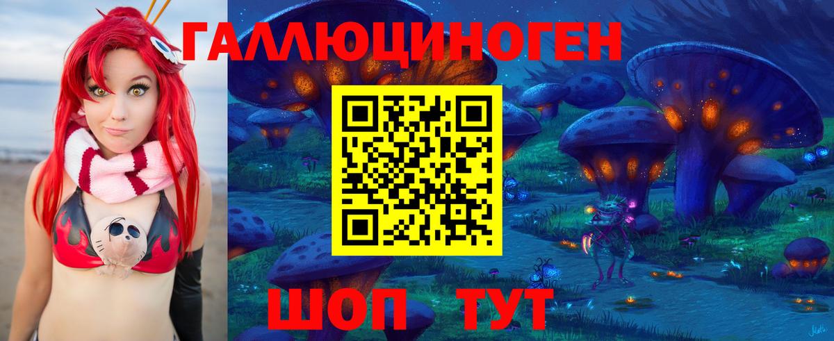 Галлюциногенные грибы Psilocybine cubensis Удомля