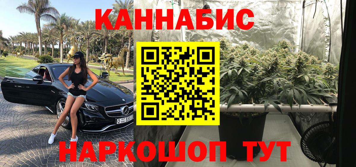 Удомля  Бошки Шишки конопля  Канабис тримм  Шишки марихуана Bruce Banner  Вход с VPN 